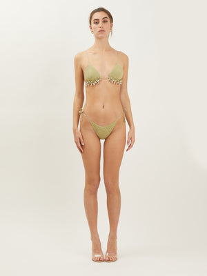 Conchiglia Cedro - slip crochet